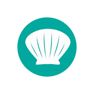 Immagine 14-molluschi
